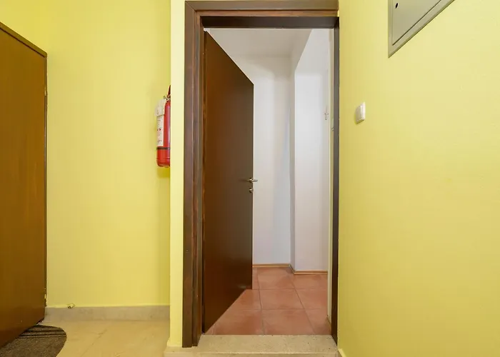 Apartments Silvana 74